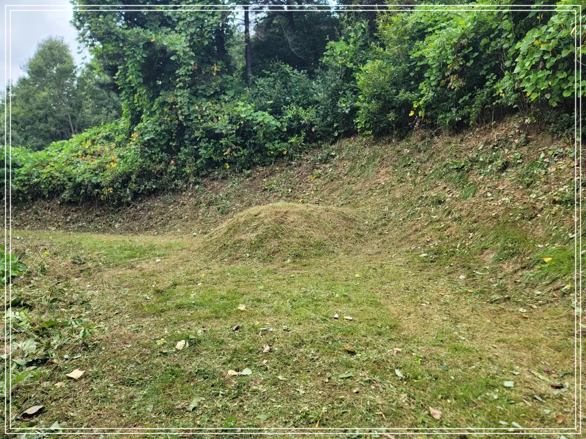 벌초-후-부-산소