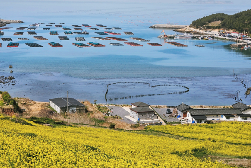 완도 청산도: 슬로시티의 평화로움