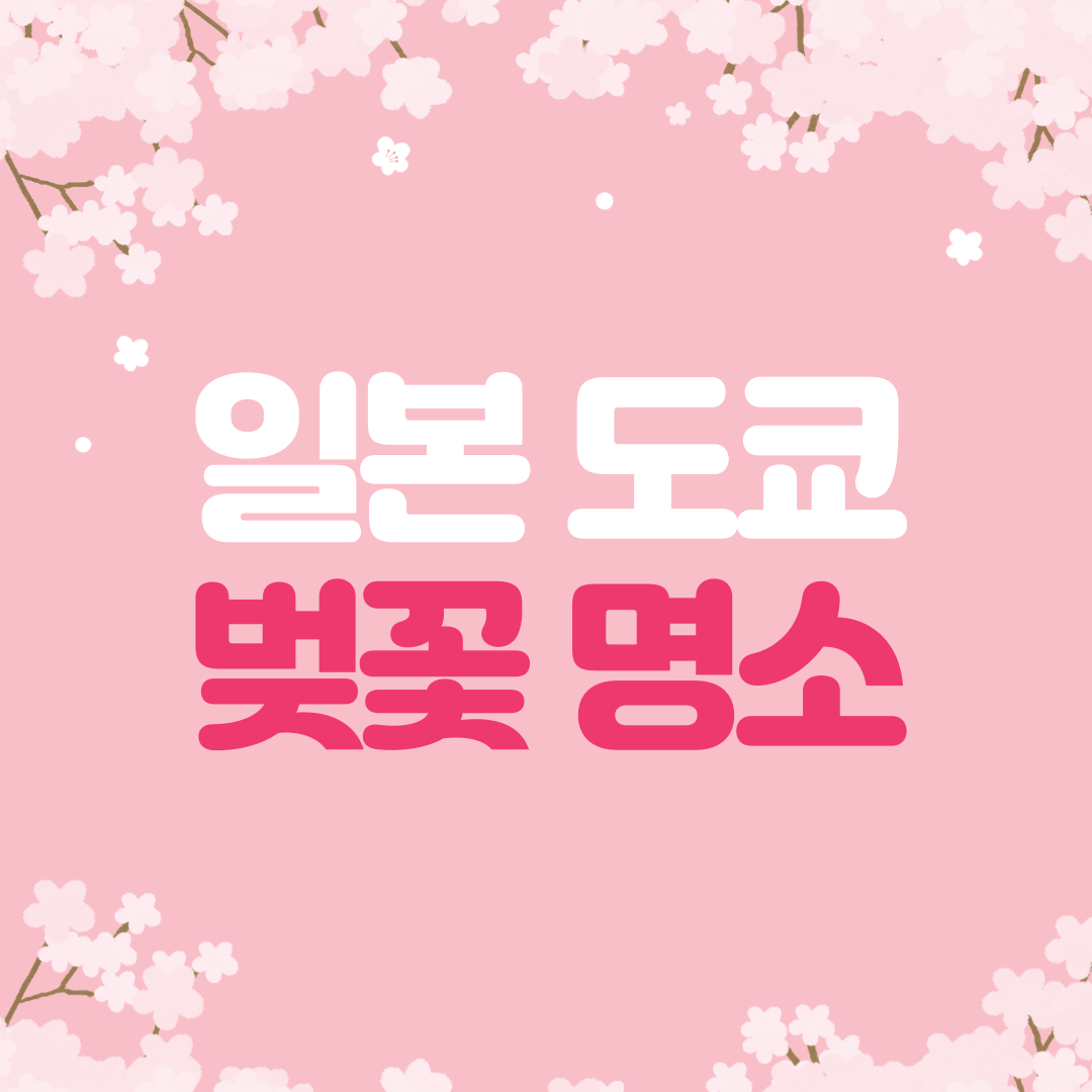 도쿄에서 벚꽃놀이를 즐기기 좋은 10곳🌸🌿