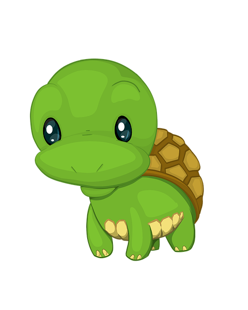 거북이 투자법으로 주식 투자 성공하기