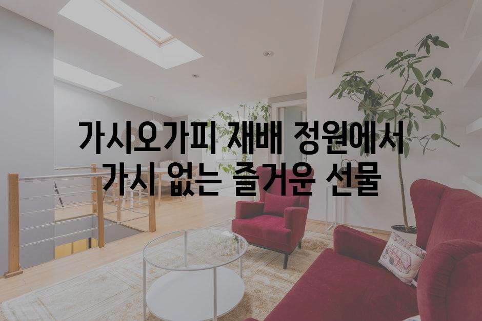 가시오가피 재배 정원에서 가시 없는 즐거운 선물