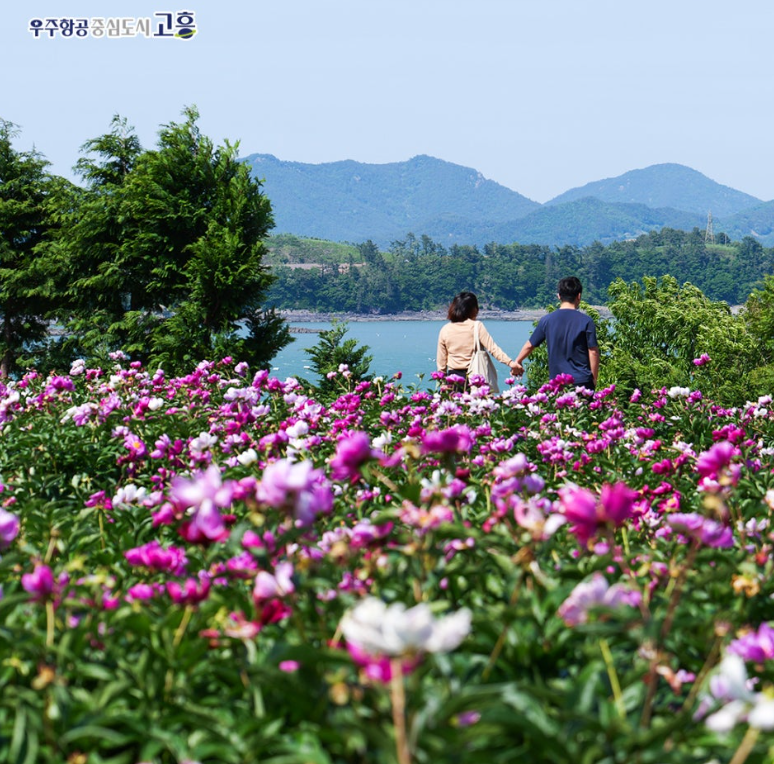 고흥 작약 꽃밭, 더 늦기 전에 핑크빛 가득한 인생사진 남기러 떠나요.🌸
