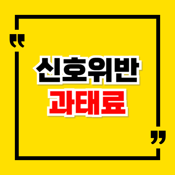 신호위반 과태료 내는법