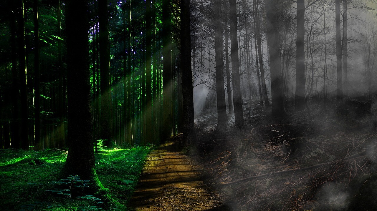 헬시 플레저와 소셜미디어