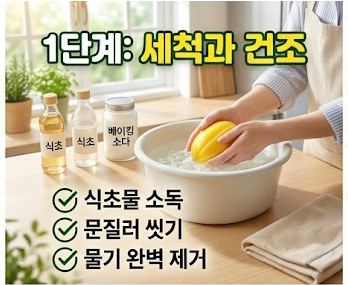 참외 보관법