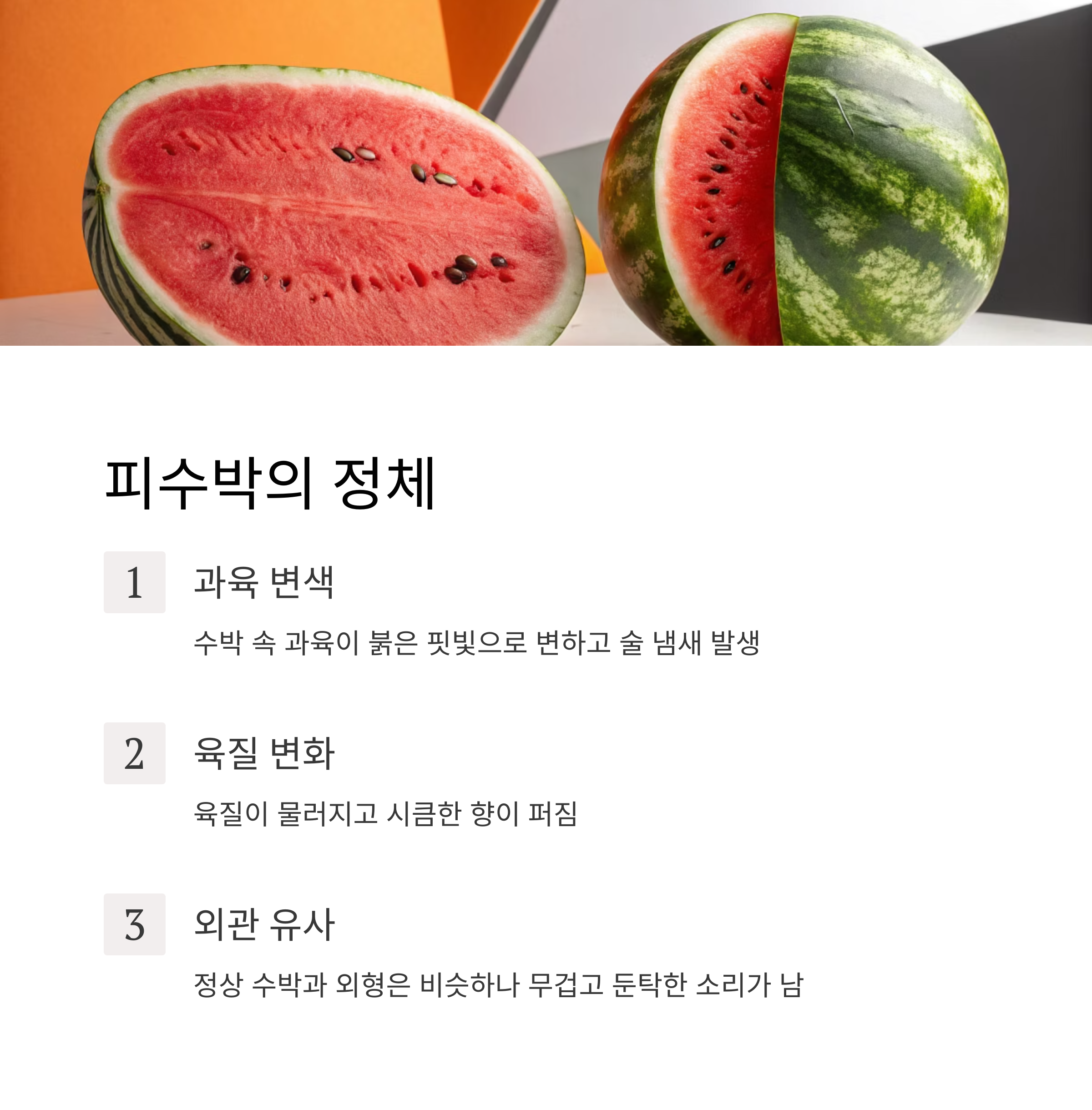 피수박의 정체
