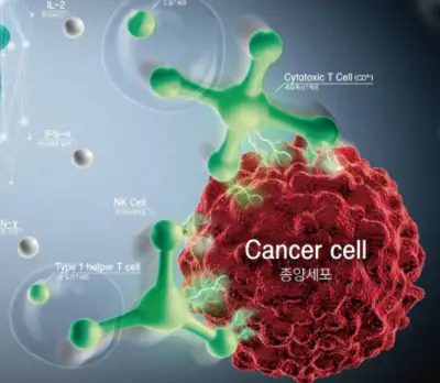 면역력을-높이는-방법-면역력에-좋은-음식-건강
