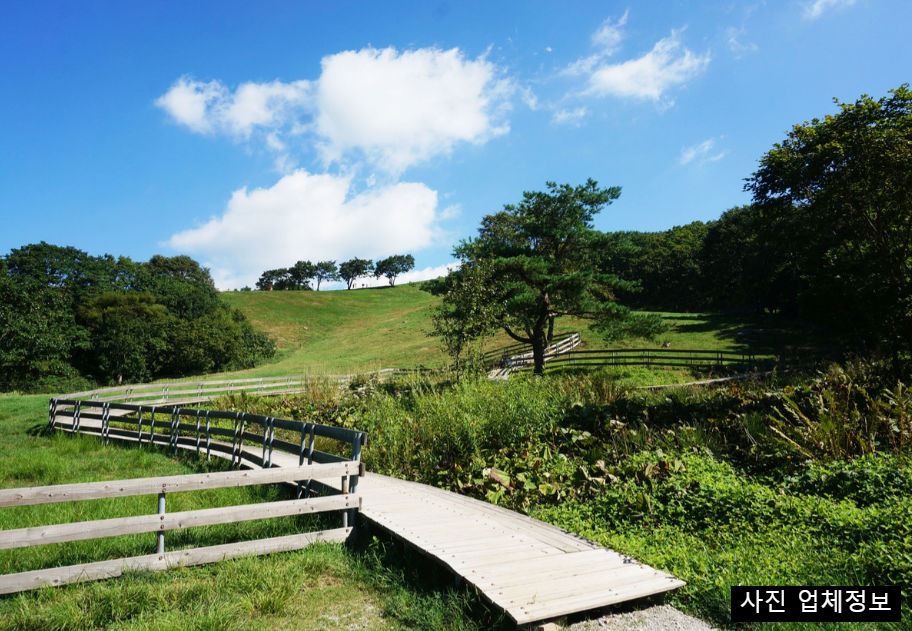 6월 국내 여행지 추천 BEST 5, 초여름 가볼만한곳