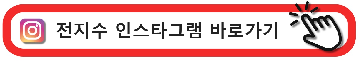 전지수인스타