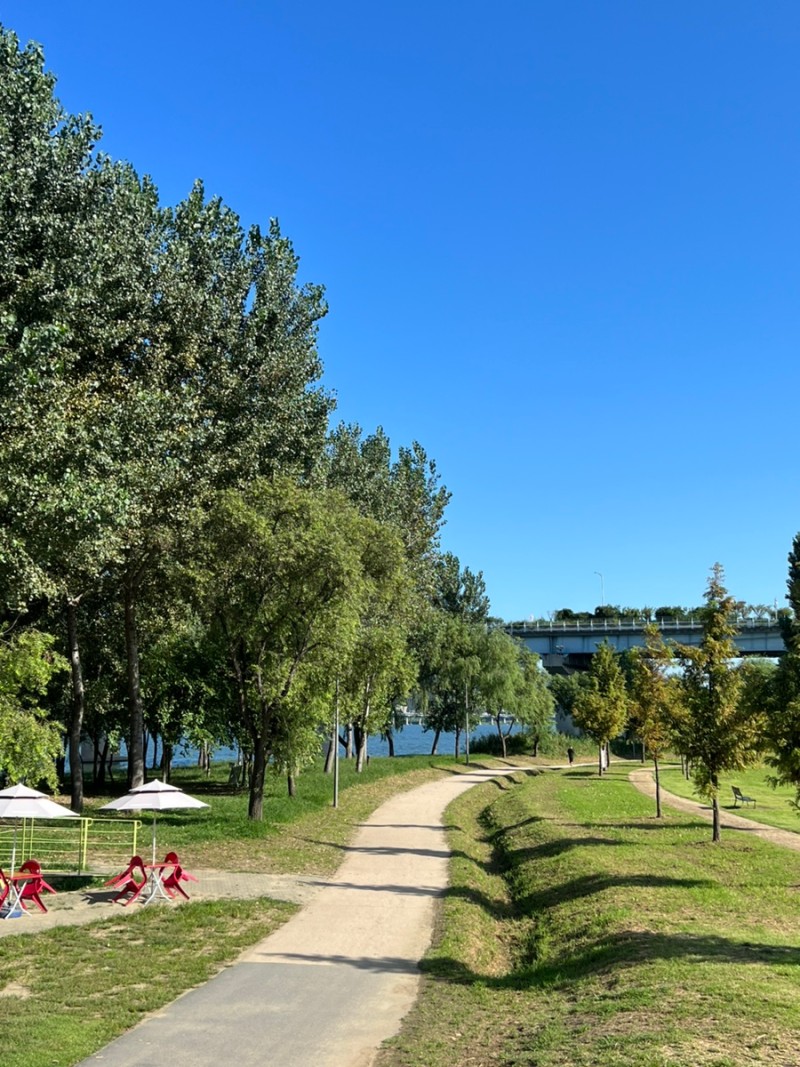 강동구 천호동 강동파크골프장 (강동구민 가능)