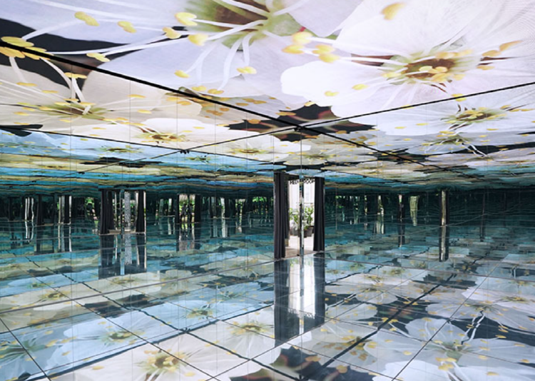 가평 베고니아 새정원