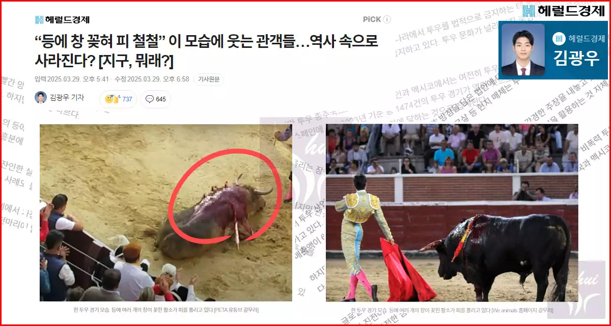 헤럴드경제 김광우 기자의 기사 내용