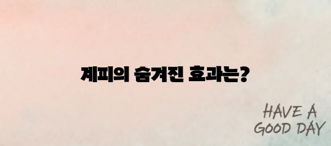계피 효능과 부작용 에는 어떤것들이 있을까?