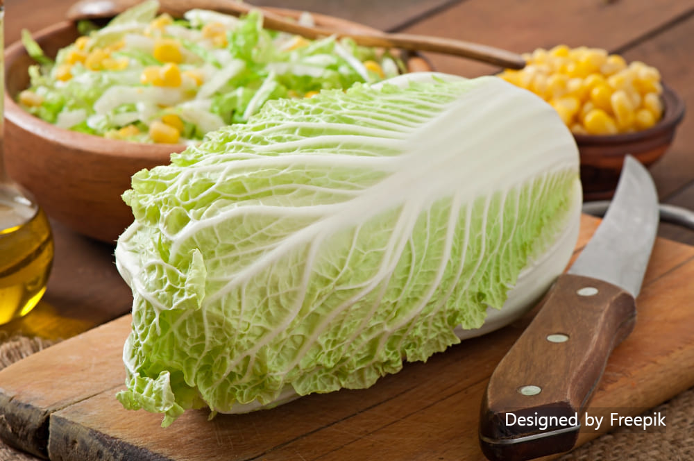 김장배추 심는 시기