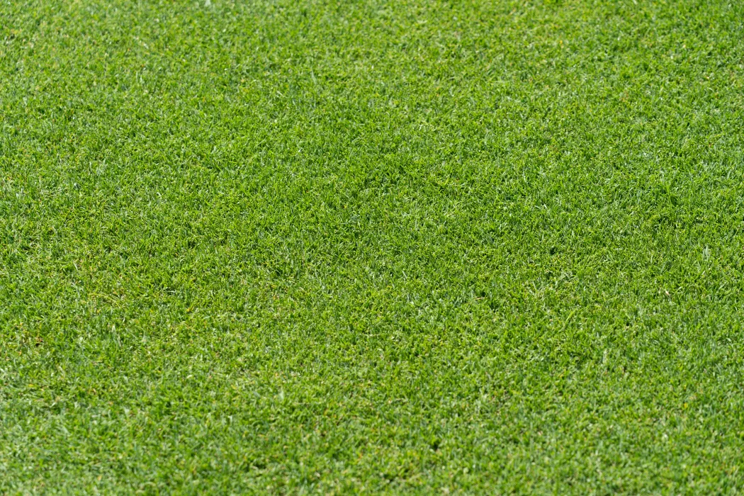 인조잔디-시공-가격-관련-사진