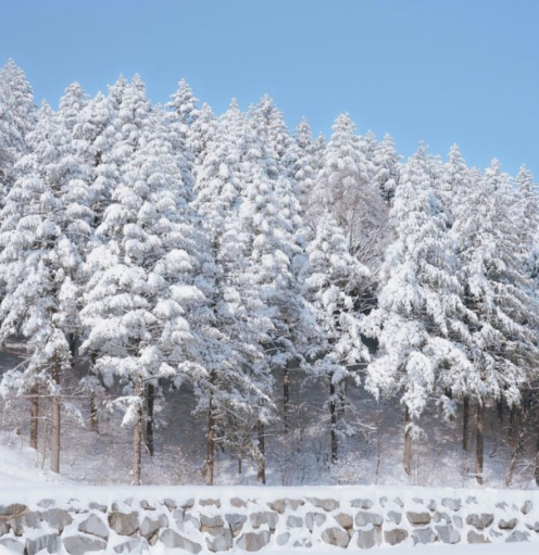 국내 겨울 여행지