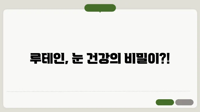 룠테인 효능 10가지, 부작용