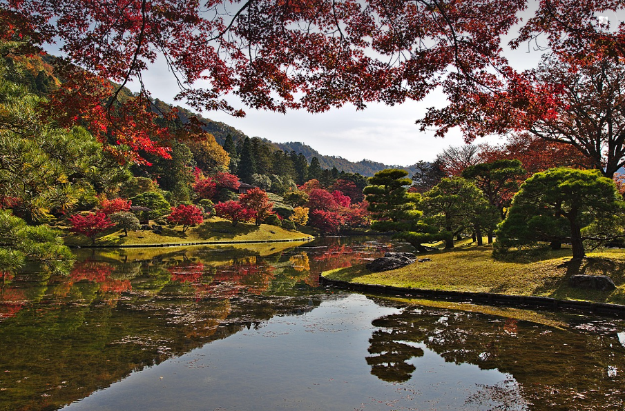 교토 단풍 전경