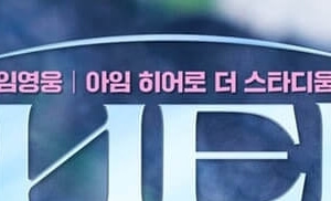 임영웅 아임 히어로 더 스타디움