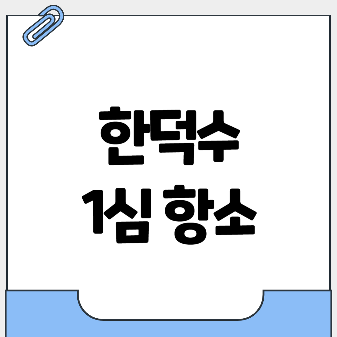 한덕수 1심 항소