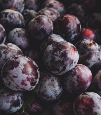 자두 효능 부작용 고르는법 칼로리