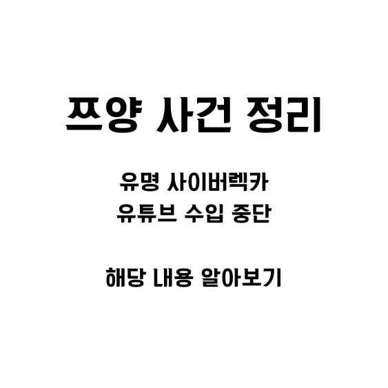 쯔양 사건 정리