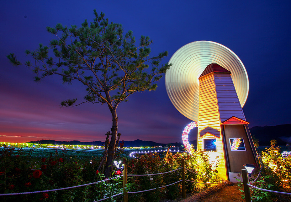 2025년 철원 고석정 꽃밭 가을 개장 일정