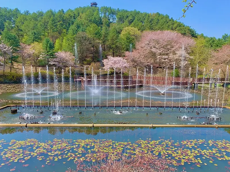 청남대-입장료-할인-무료-입장-관람시간