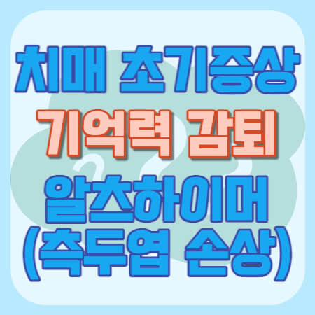 기억력 감퇴 치매 초기증상