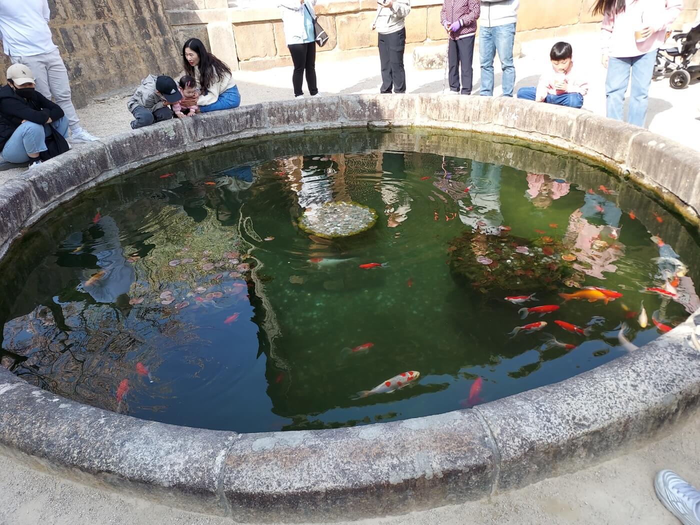 통도사 벚꽃 & 사찰 여행