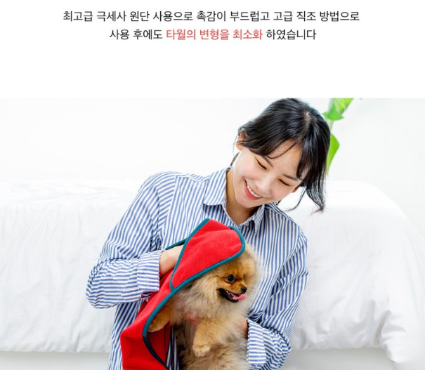 강아지 타올