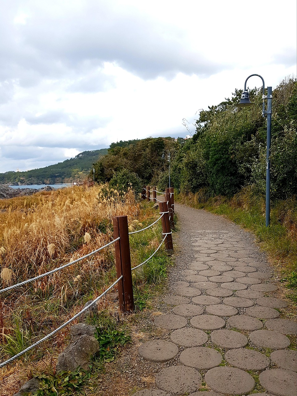 유산소 운동 산책