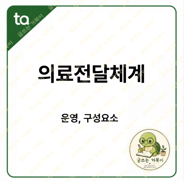 의료전달체계
