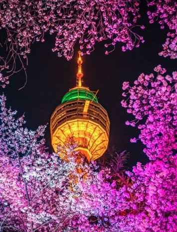 2024년도-5월달-여행-떠나면-좋은-전국-다채로운-봄-축제-Top5