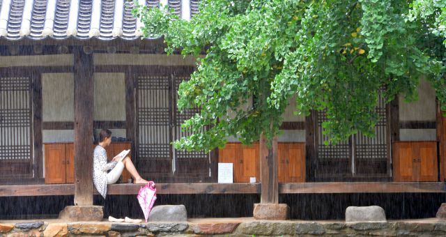 비그친 전주한옥마을 주택 마루에 걸터 앉아 책읽고 있는 소녀의 모습 사진