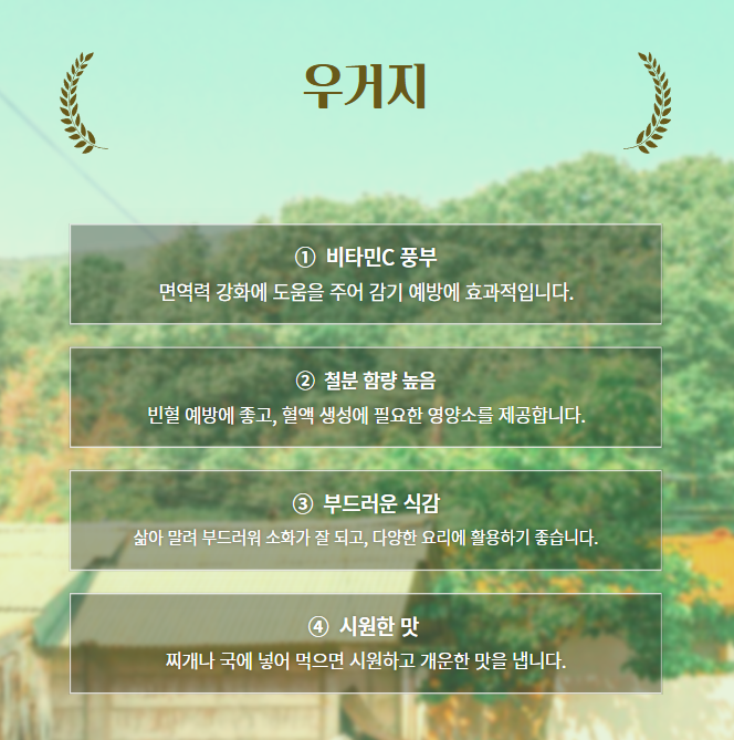우거지의 특징