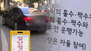 차량 2부제란? 제외차량 전기차 렌트카 경차 위반 과태료