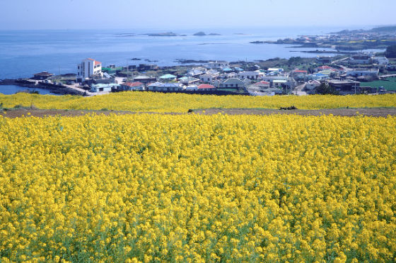 계절별 열리는 무형문화재 시연 행사 소개