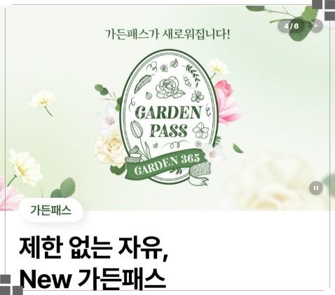 에버랜드 가든패스 필수! 11월 7일~10일, 국내 최대 '은행나무 군락지' 600명 한정 특별 개방