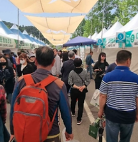 강원n 홍천 산나물축제