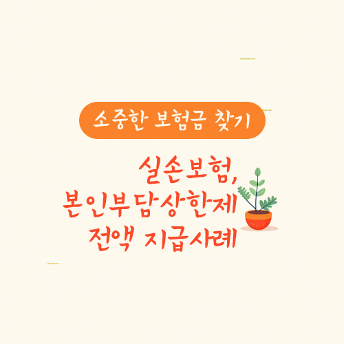 실손보험, 본인부담상한제 전액 지급사례