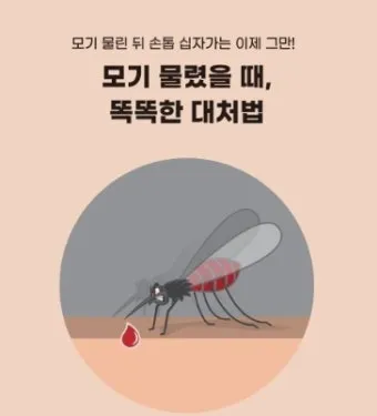 모기 박사님 추천 모기 퇴치법과 여름철 모기 없는 집 만들기 실전 전략_11