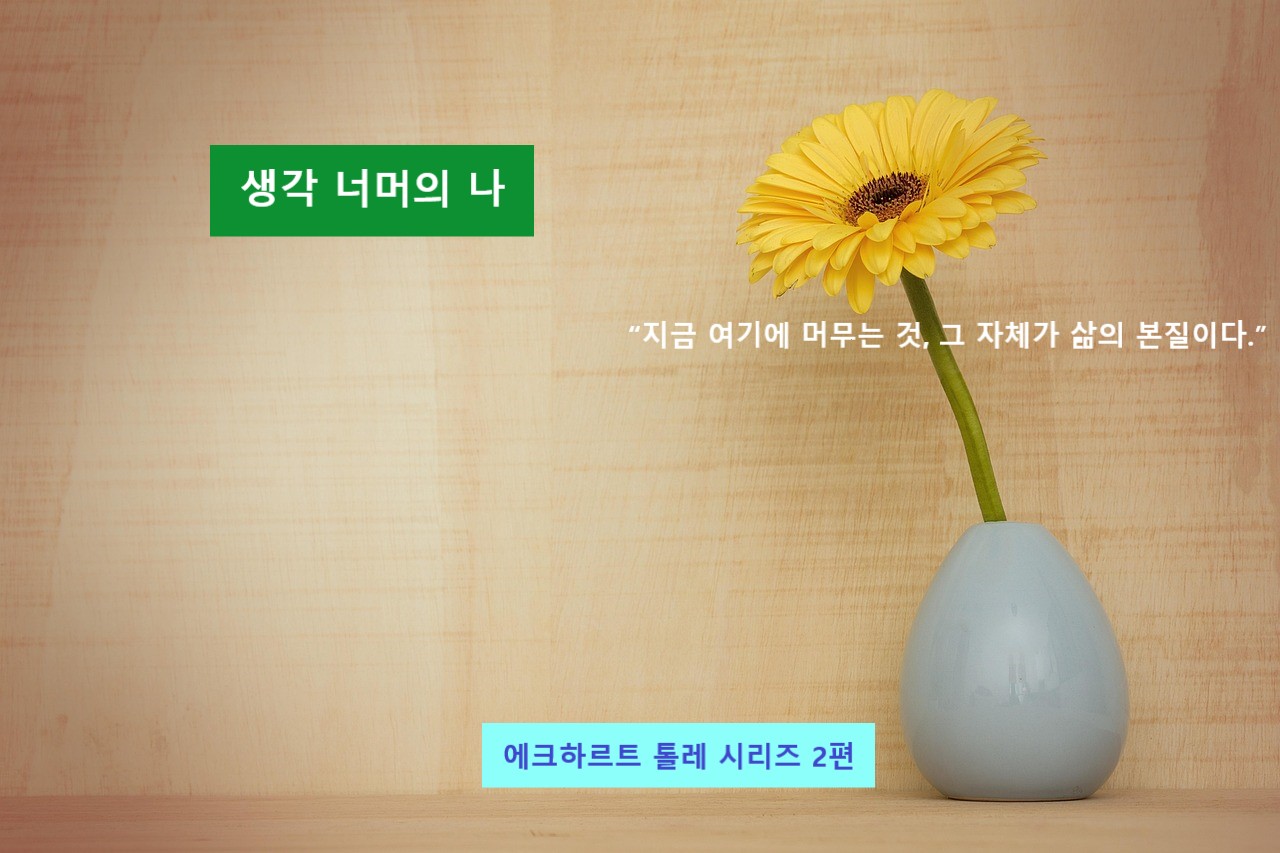 생각 너머의 나, 에크하르트 톨레 관련 이미지