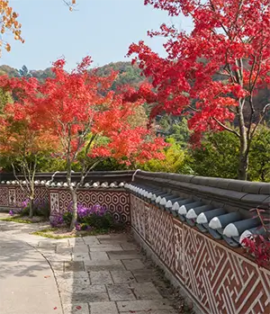 화담숲 테마별 사진