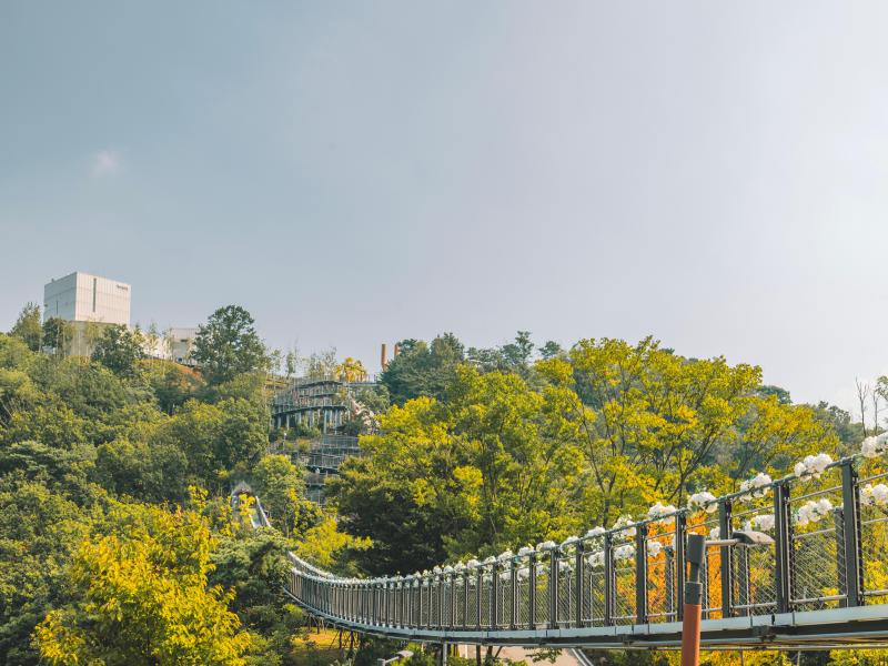 애기봉 평화생태공원 모습