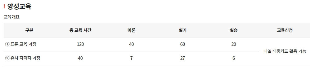 아이돌보미