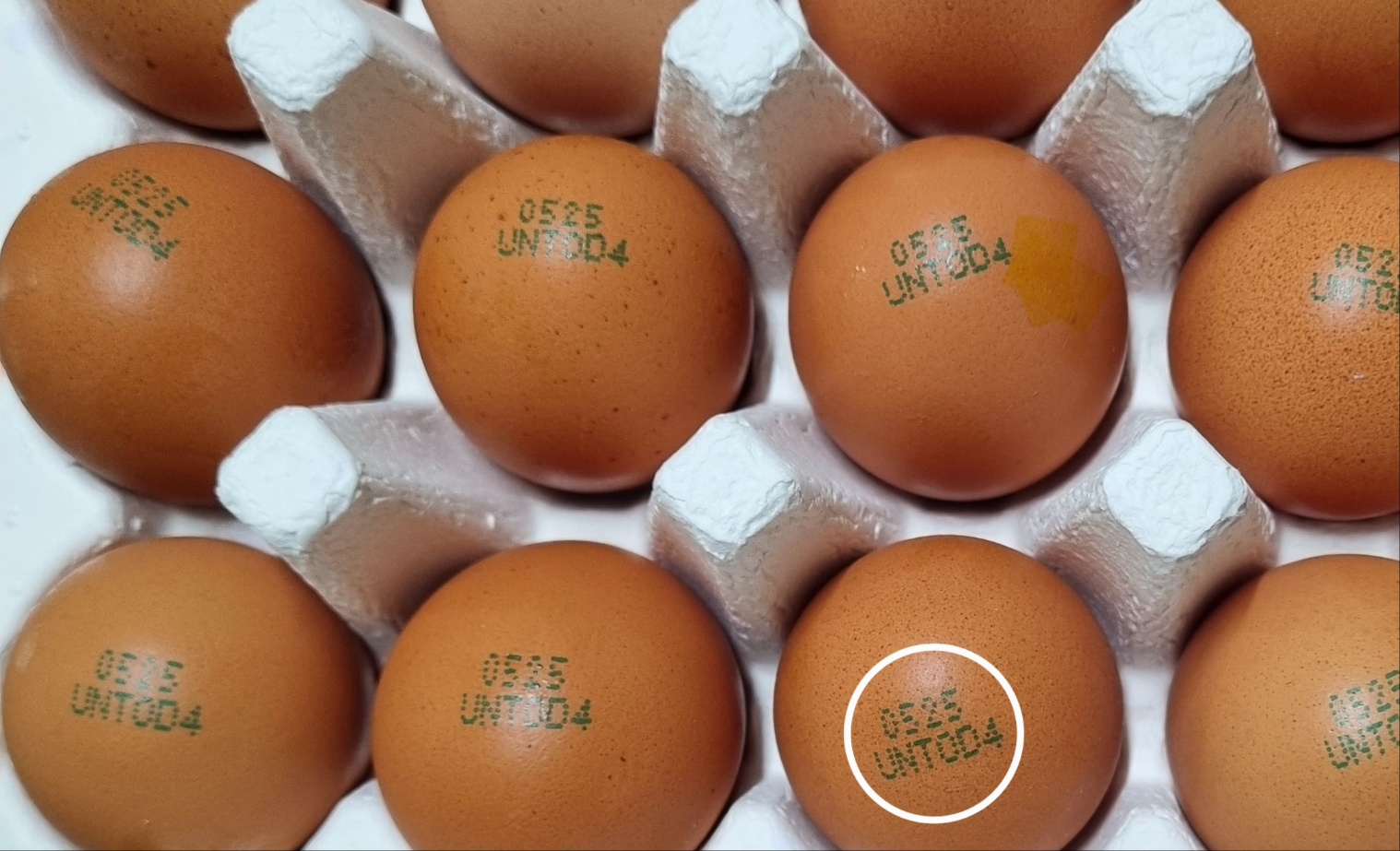 난각 번호 4번 계란