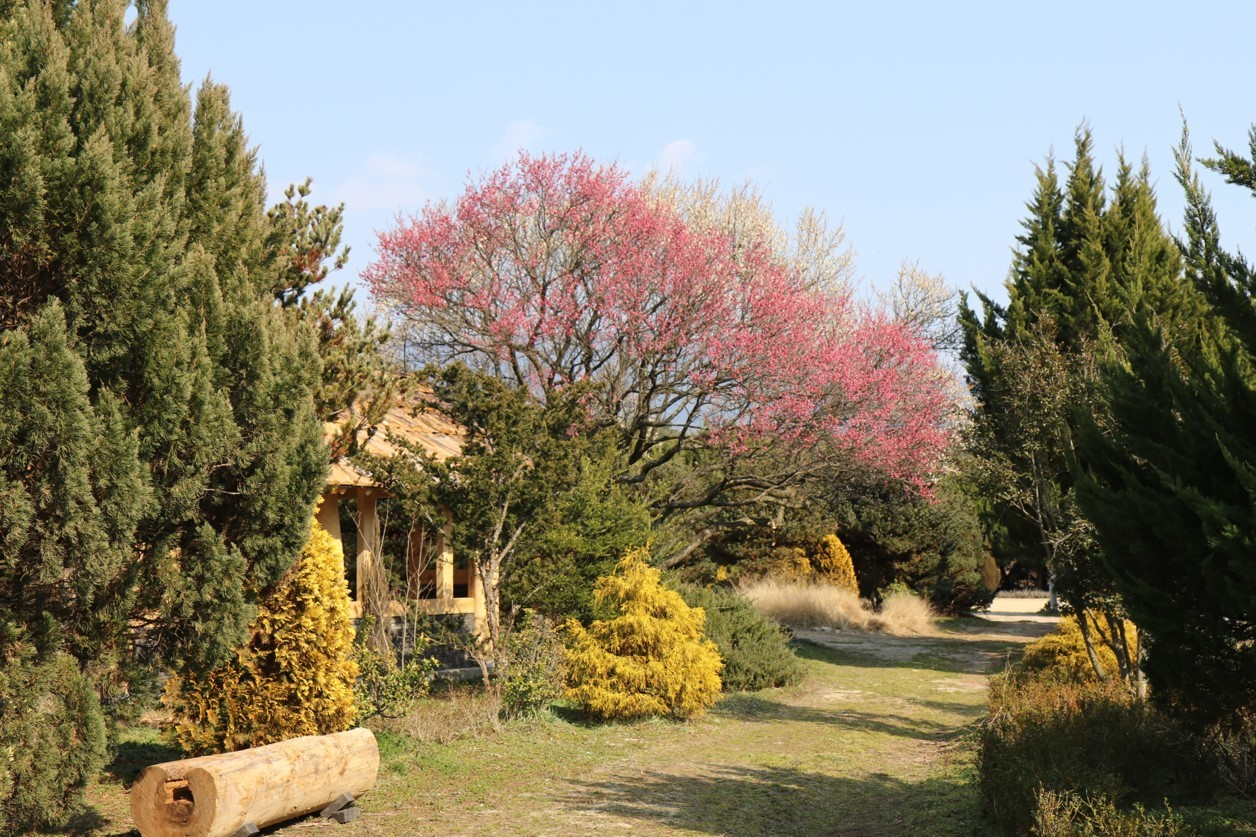 생방송투데이 스카이바이크&amp;#44; 쌍산재&amp;#44; 향나무숲
