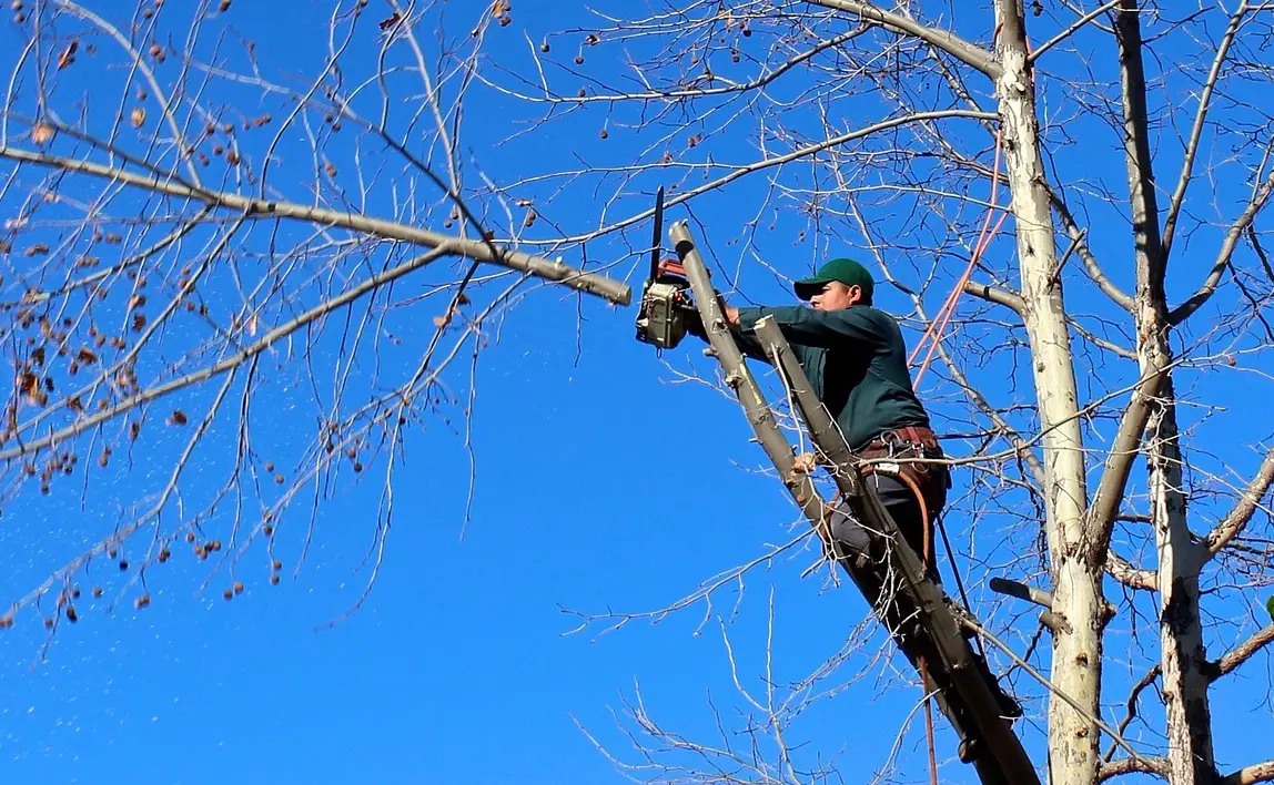 손해평가사 시험일정 시험과목 합격률