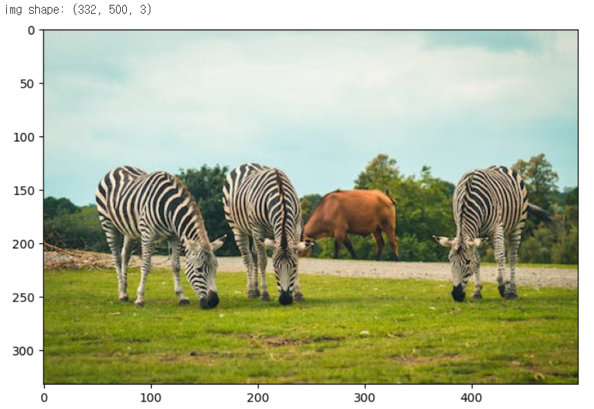 코드 실행 결과